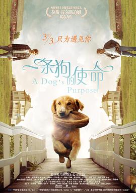 亚洲欧美日韩天堂在线观看